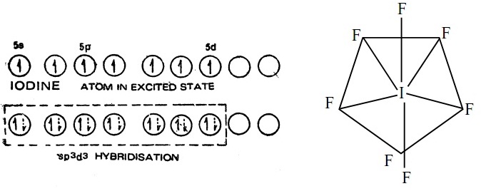 Structures of interhalogen compounds Homework Help Assignment Help